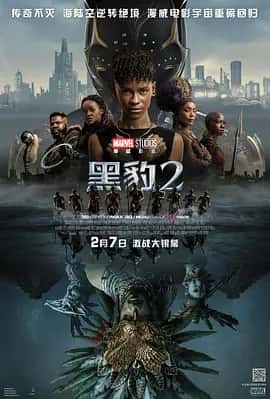 黑豹2 (2022) 4K 内嵌中字-私家电影院