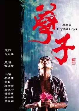 孽子 (2003) 国语中字 20集全