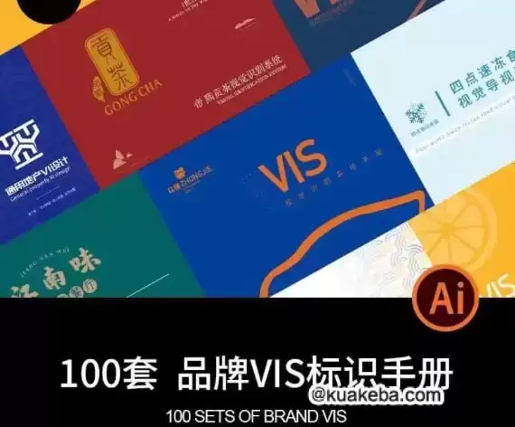 100套品牌VIS识别系统应用VI手册 – 夸克网盘吧kuakeba.cn