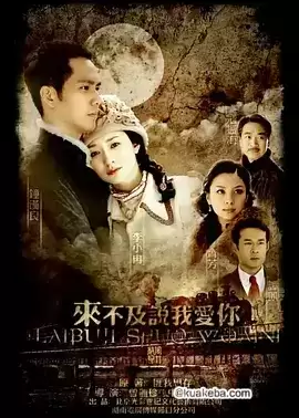 来不及说我爱你 (2010) 4K 国语中字 36集全