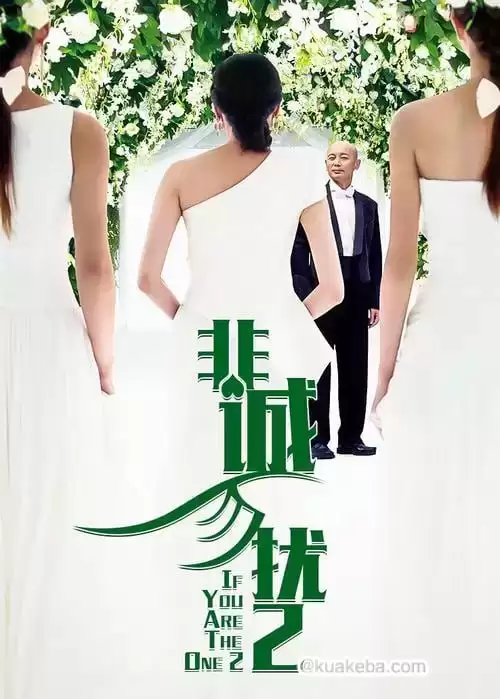 非诚勿扰2 (2010) 1080P 国语中字