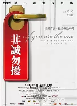 非诚勿扰 (2008) 1080P 国语中字