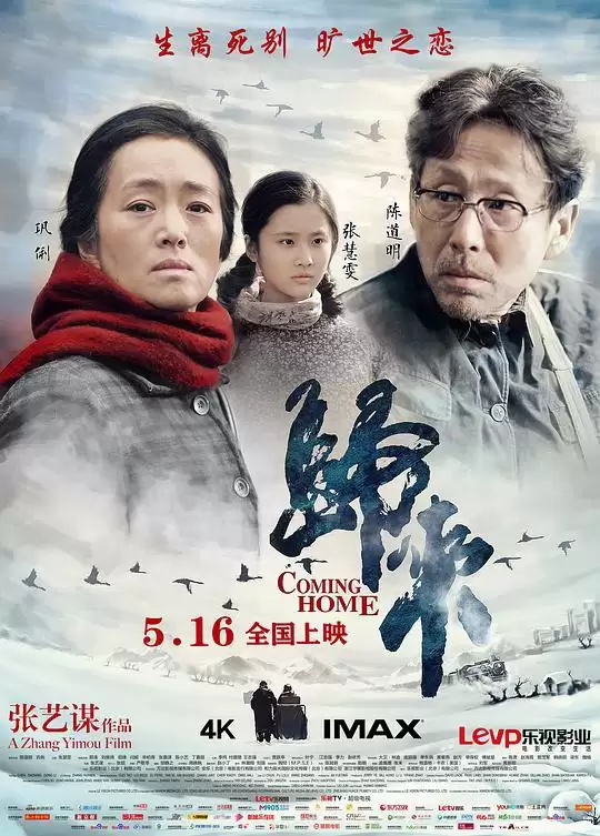 归来 (2014) 1080P 蓝光Remux 国语中字