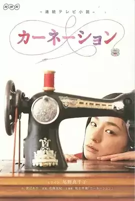 康乃馨 (2011) 高清1080P 日语外挂中字 全151集