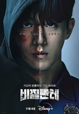 非法正义 第一季 비질란테